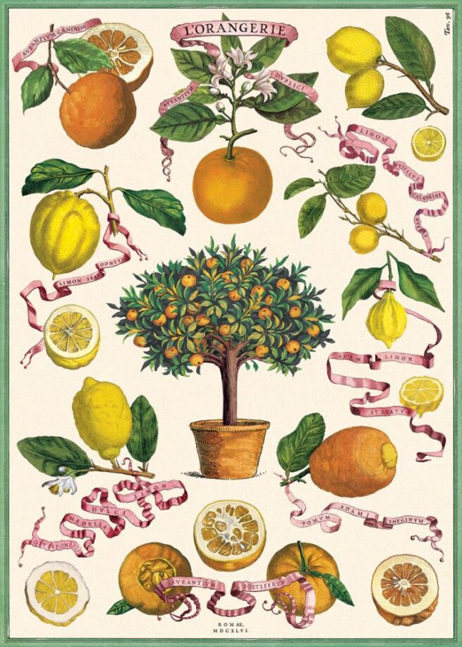Cavallini Poster/Gift Wrap - L'Orangerie