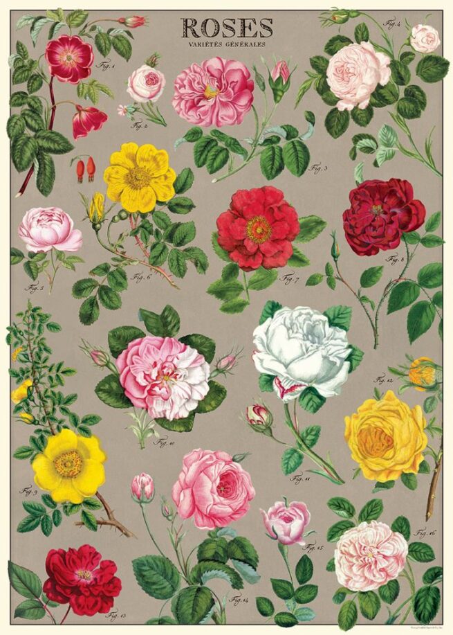 Cavallini Poster/Gift Wrap - Roses